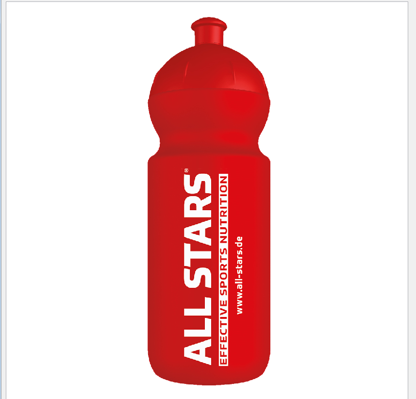 ALL STARS Trinkflasche 750ml