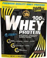 ALL STARS 100% Whey Protein - 500g Beutel